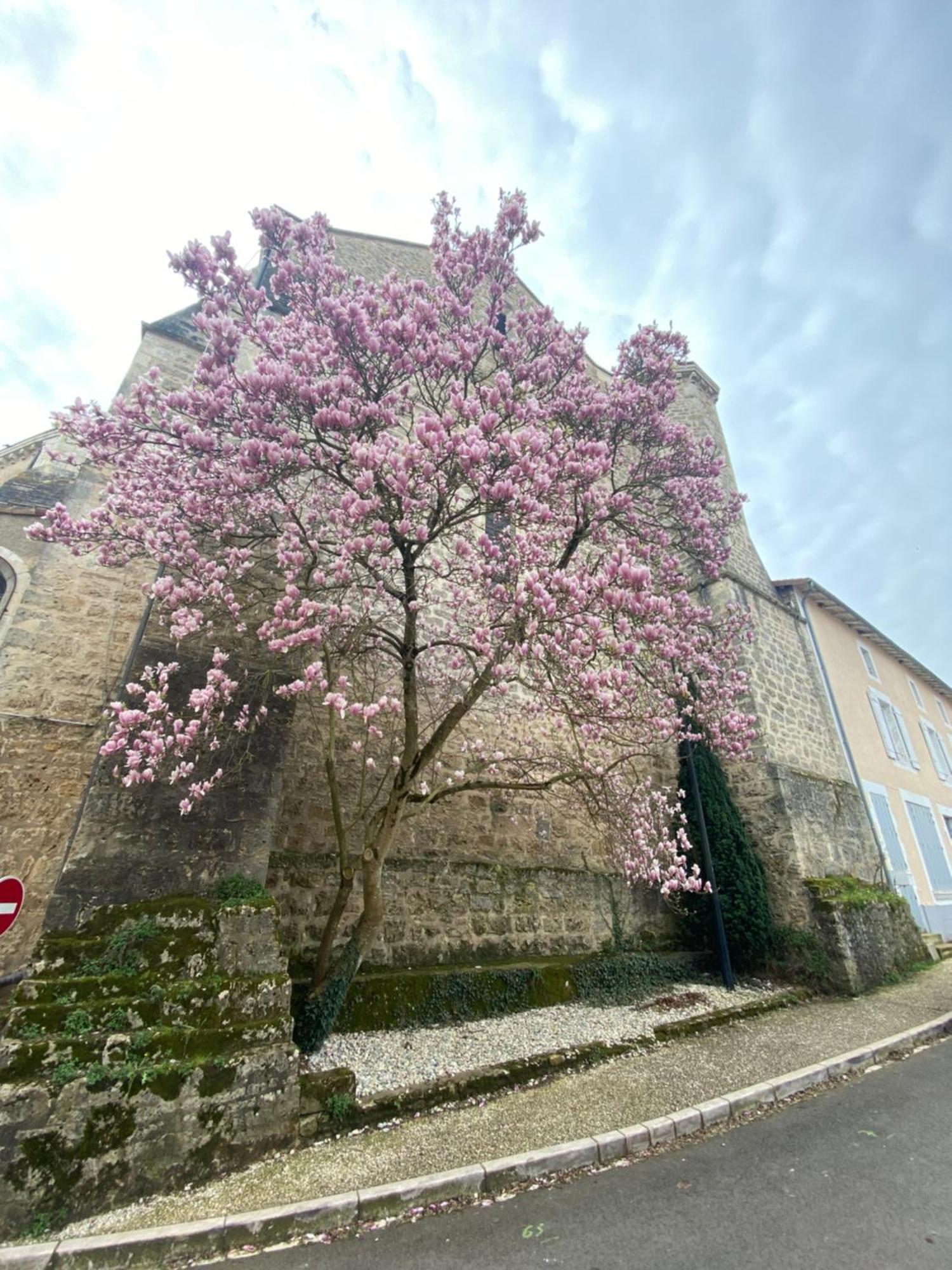 Logis Hotel Le Saint Georges Vivonne Ngoại thất bức ảnh
